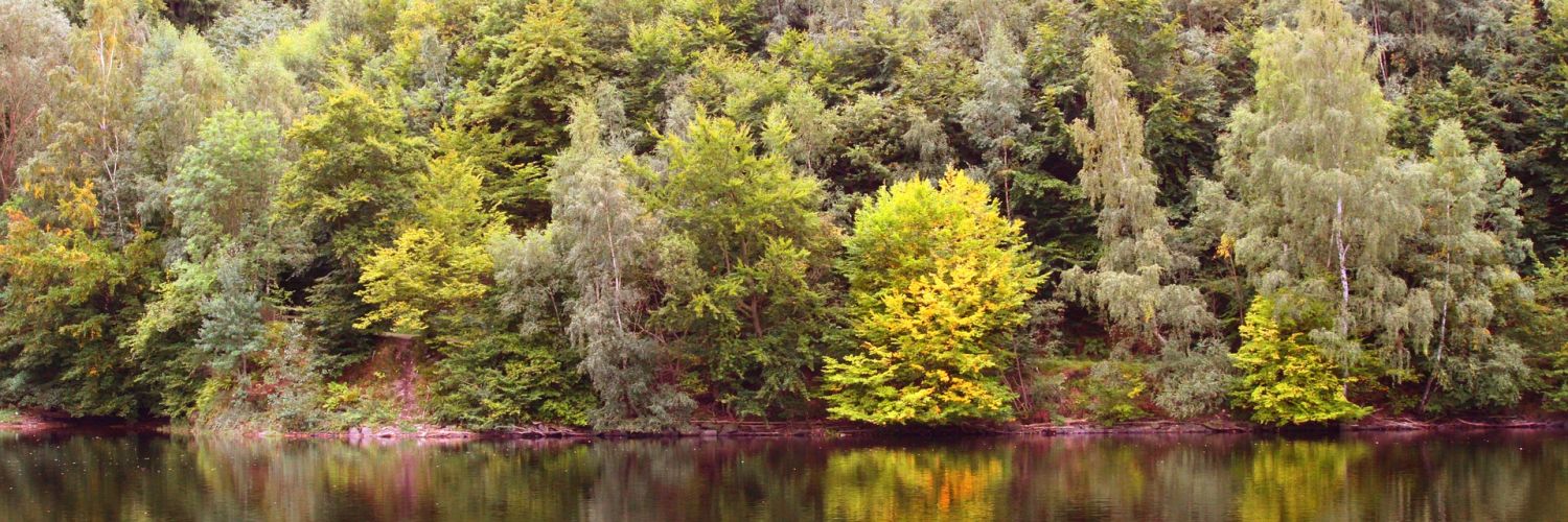 Nationalpark Eifel